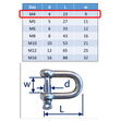 Stainless Steel D-Shackles, In 316-Grade Stainless Steel image #1