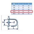 Wide D-Shackle In 316 Stainless Steel, Mooring Buoys image #4